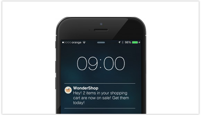  Re-calling or Retargeting Campaign