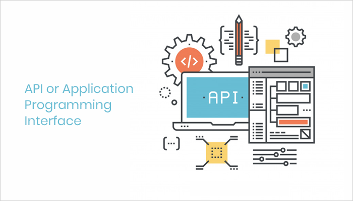 API and Application Programming Interface
